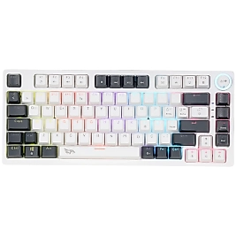 Gameagle Strike Compact MK-81X1BAB Mekanik Işıklı Gamer Klavye